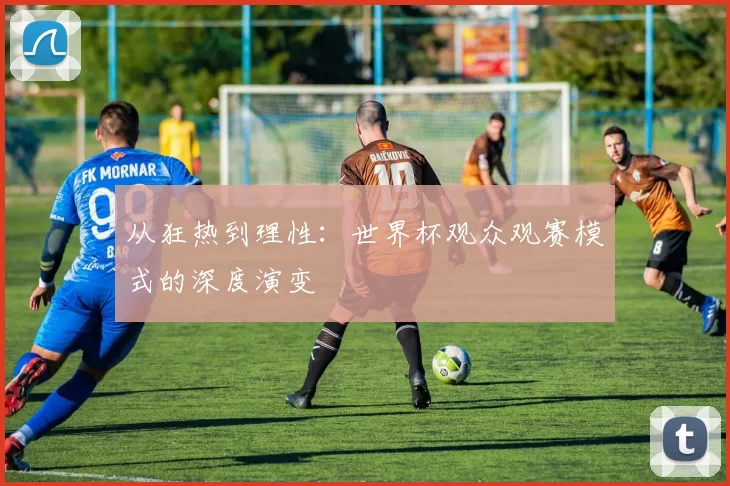 从狂热到理性:世界杯观众观赛模式的深度演变