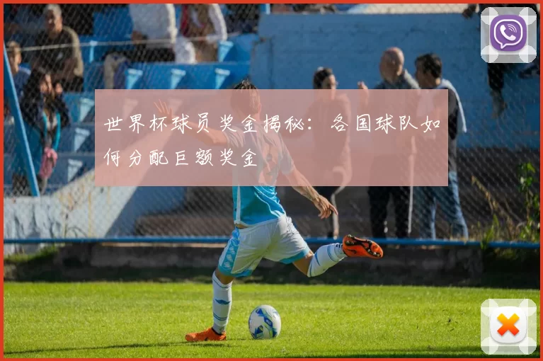 世界杯球员奖金揭秘:各国球队如何分配巨额奖金