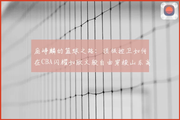 庞峥麟的篮球之路：顶级控卫如何在CBA闪耀如欧文般自由穿梭山东高速