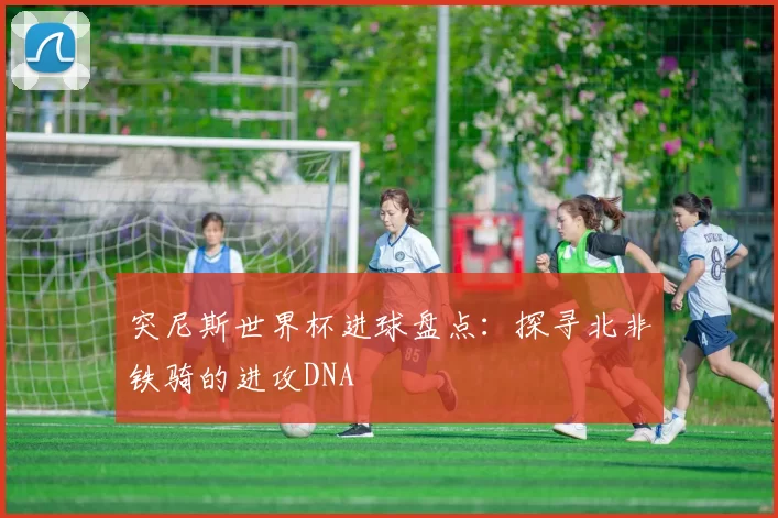 突尼斯世界杯进球盘点:探寻北非铁骑的进攻DNA