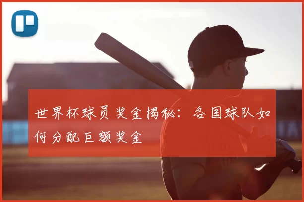 世界杯球员奖金揭秘:各国球队如何分配巨额奖金