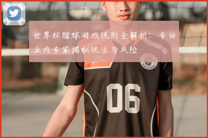 世界杯赌球游戏规则全解析：专访业内专家揭秘玩法与风险