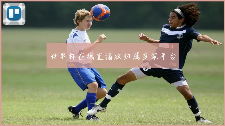 世界杯在线直播权归属多家平台