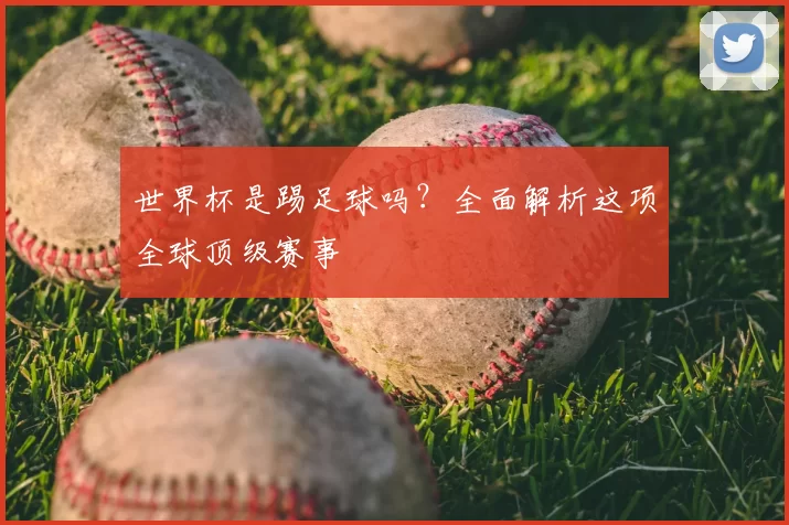 世界杯是踢足球吗？全面解析这项全球顶级赛事
