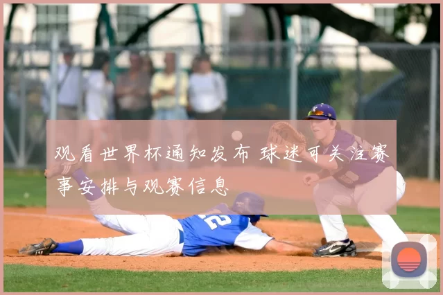 观看世界杯通知发布 球迷可关注赛事安排与观赛信息