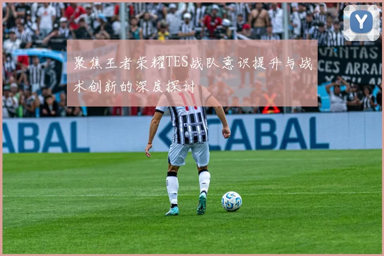 聚焦王者荣耀TES战队意识提升与战术创新的深度探讨