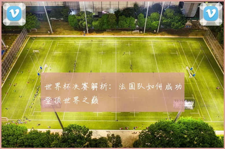 世界杯决赛解析：法国队如何成功登顶世界之巅