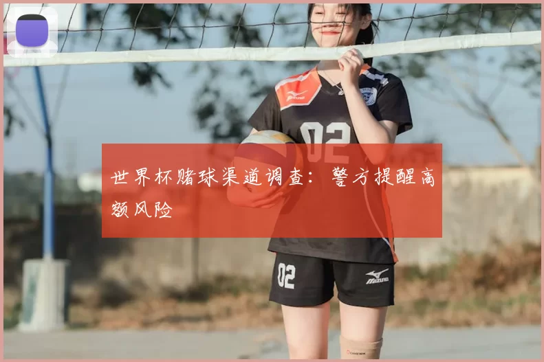 世界杯赌球渠道调查:警方提醒高额风险